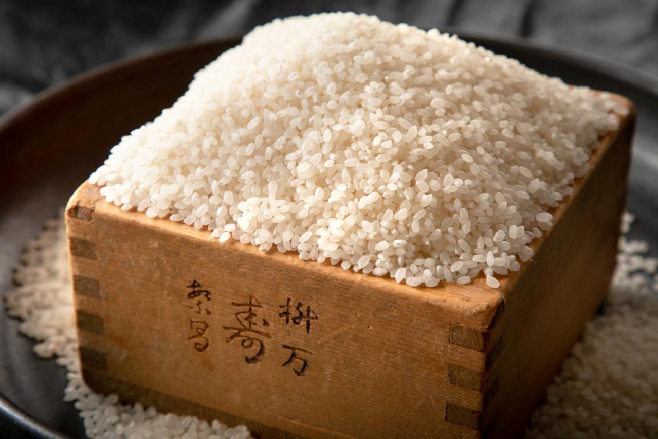 Kyoto City Hotel Ngoại thất bức ảnh